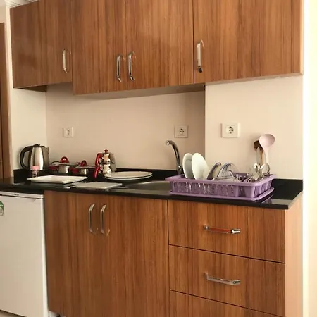فندق مبيت وإفطار Ikizler Apart